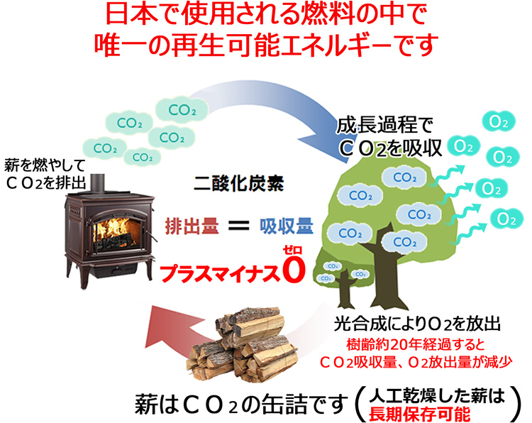 薪はCO2の缶詰です