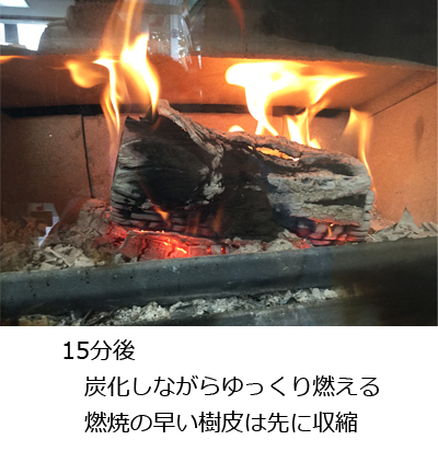 15分後、炭化しながらゆっくり燃える　燃焼の早い樹皮は先に収縮