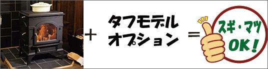 タフモデル
